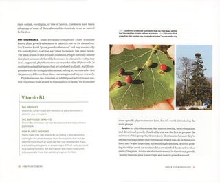 How plants work: the science behind the amazing things plants do.
