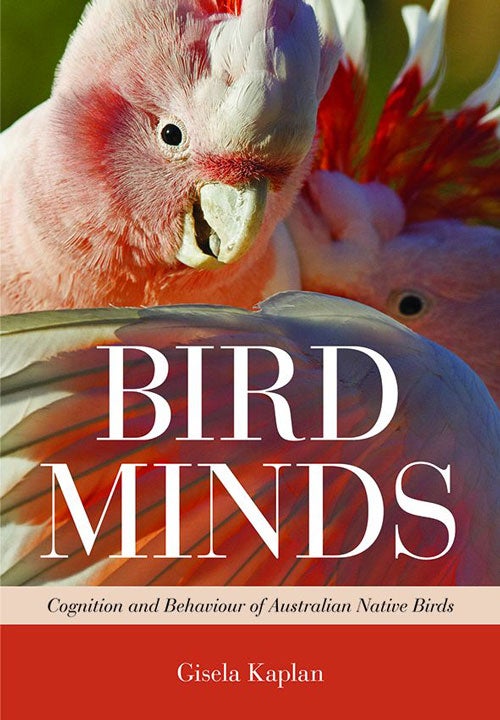 Stock ID 37946 Bird minds: cognition and behaviour of Australian native birds. Gisela Kaplan.
