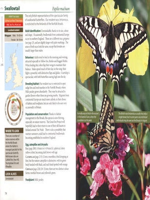 Britain's butterflies: a field guide to the butterflies of Britain and Ireland.