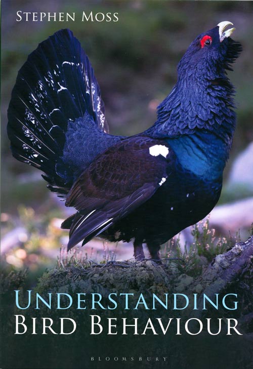 Stock ID 37983 Understanding bird behaviour. Stephen Moss.