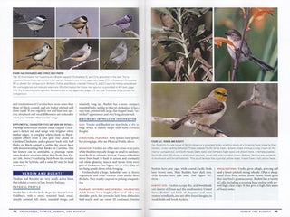 Peterson reference guide to birding by impression: a different approach to knowing and identifying birds.