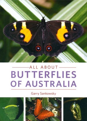 All about butterflies of Australia. Garry Sankowsky.