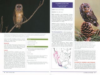 Peterson reference guide to owls of North America and the Caribbean.