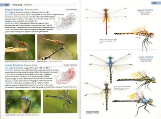 A guide to dragonflies and damselflies of South Africa.