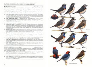 Robins and Chats.