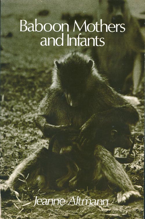 Stock ID 38102 Baboon mothers and infants. Jeanne Altmann.