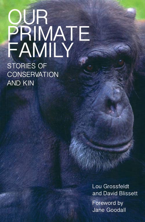 Stock ID 38145 Our primate family: stories of conservation and kin. Lou Grossfeldt, David Blissett.