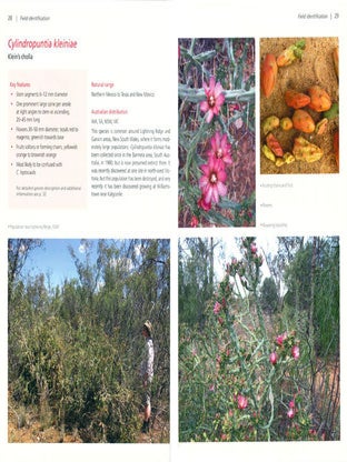 Feral opuntioid cacti in Australia: part I. cylindrical-stemmed genera: Austrocylindropuntia, Cylindropuntia and Corynopuntia.