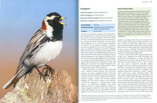 Better birding: tips, tools and concepts for the field.