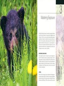 Digital nature photography: the art and the science.