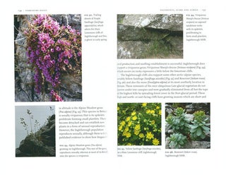 Yorkshire Dales.