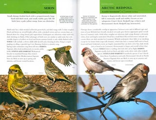 Collins BTO guide to rare British birds.