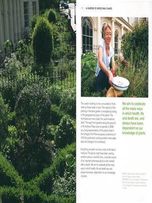 A garden of medicinal plants.