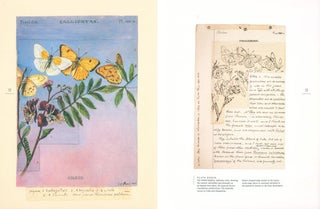 Butterflies of North America: Titian Peale's lost manuscript.
