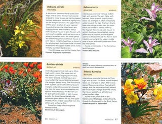Wildflowers of Namaqualand: a Botanical Society guide.