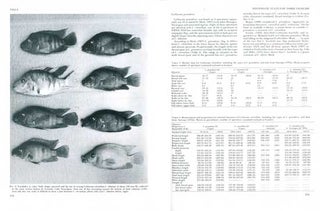 Investigations of the ichthyofauna of Nicaraguan lakes.