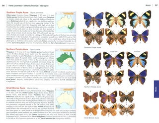 The complete field guide to butterflies of Australia.