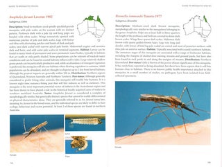 A guide to mosquitoes of Australia.