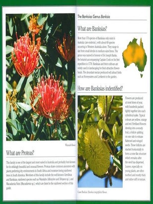 Green guide to trees of Australia.