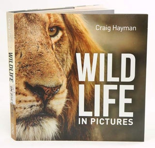 Stock ID 38448 Wildlife in pictures. Craig Hayman