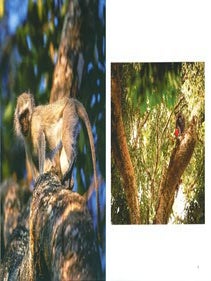 Wildlife in pictures.
