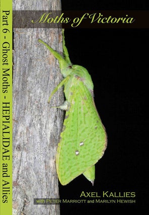 Stock ID 38520 Moths of Victoria: part six, Ghost moths Hepialidae and allies. Axel Kallies,...