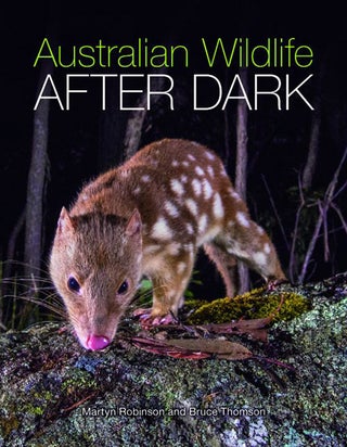 Stock ID 38521 Australian wildlife after dark. Martyn Robinson, Bruce Thomson