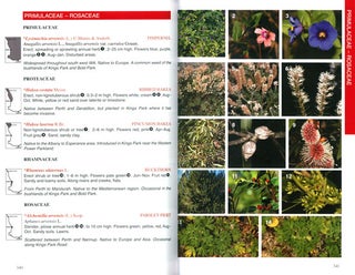 Perth plants: a field guide to the bushland and coastal flora of Kings Park and Bold Park.