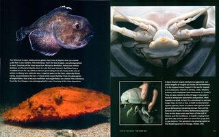 Life in the dark: illuminating biodiversity in the shadowy haunts of planet earth.