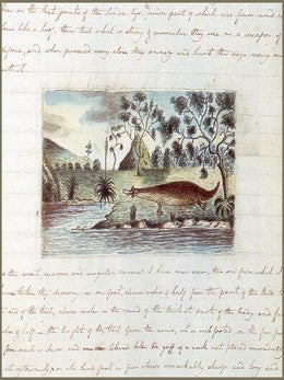 Platypus: the extraordinary story of how a curious creature baffled the world.