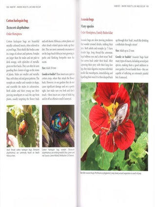 Miniature lives: identifying insects in your home and garden.
