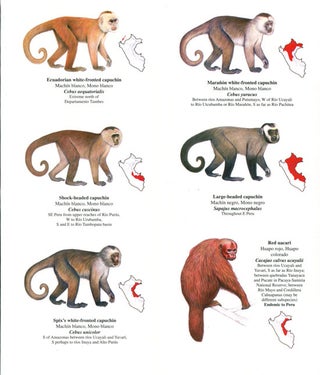 Monkeys of Peru: pocket idenitification guide.