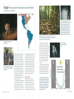 Candid creatures: how camera traps reveal the mysteries of nature.