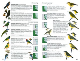Birds of the wet tropics of Queensland and Great Barrier Reef and where to find them.