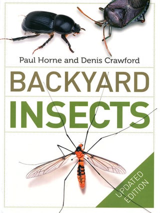 Stock ID 38714 Backyard insects. Paul Horne, Denis Crawford