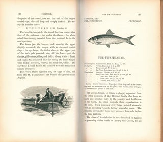 A history of British fishes.