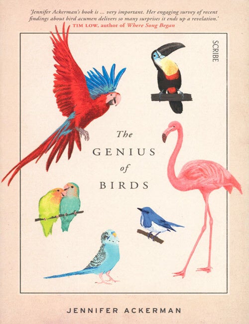 Stock ID 38738 The genius of birds. Jennifer Ackerman.