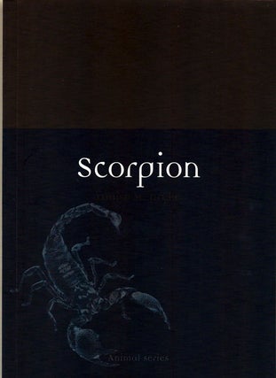 Stock ID 38786 Scorpion. Louise M. Pryke