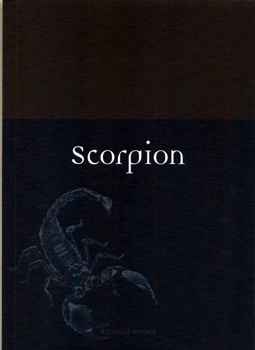 Stock ID 38786 Scorpion. Louise M. Pryke.