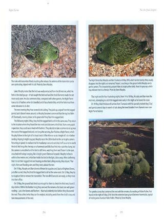 Night parrot: Australia's most elusive bird.