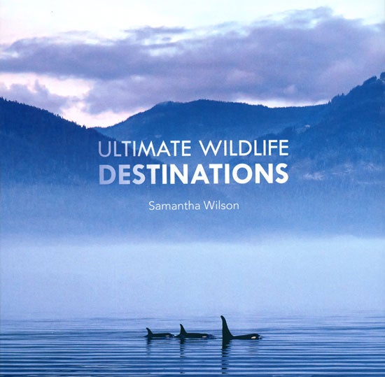 Stock ID 38881 Ultimate wildlife destinations. Samantha Wilson.