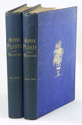 Stock ID 38893 Alpine plants: figures and descriptions of some of the most striking and beautiful...