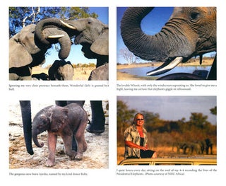 Elephant dawn: the inspirational story of thirteen years living with elephants in the African wilderness.