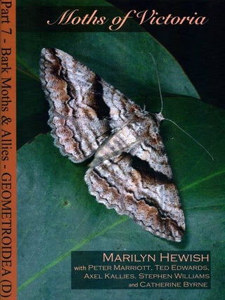 Stock ID 38967 Moths of Victoria: part seven, Bark moths and allies, Geometridae (D). Marilyn Hewish