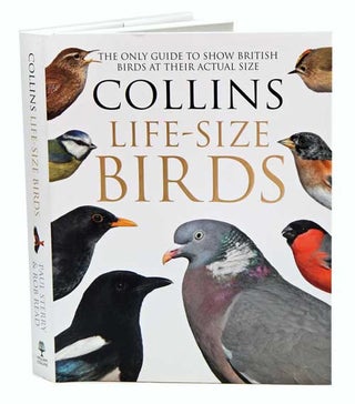 Stock ID 39054 Collins life-size birds: the only guide to show British birds at their actual...