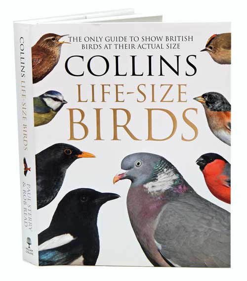 Stock ID 39054 Collins life-size birds: the only guide to show British birds at their actual size. Paul Sterry, Rob Read.