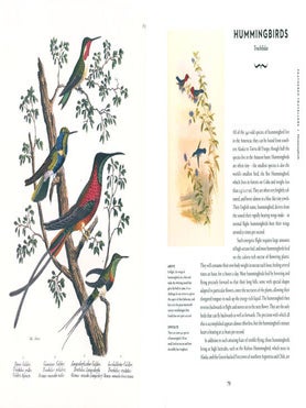 Remarkable birds.