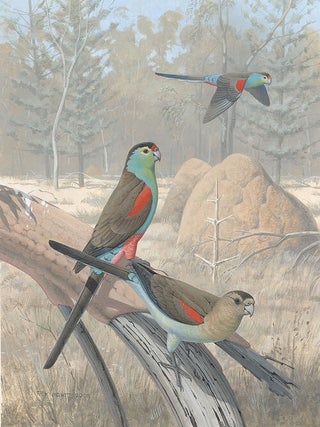 Vanished and vanishing parrots: profiling extinct and endangered species.