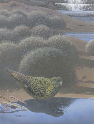Vanished and vanishing parrots: profiling extinct and endangered species.