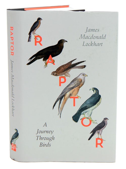 Stock ID 39129 Raptor: a journey through birds. James Macdonald Lockhart.